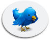 Twitter likely to drive traffic to car brand websites, study shows