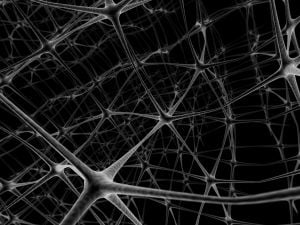 network neurons 2 1043923 m