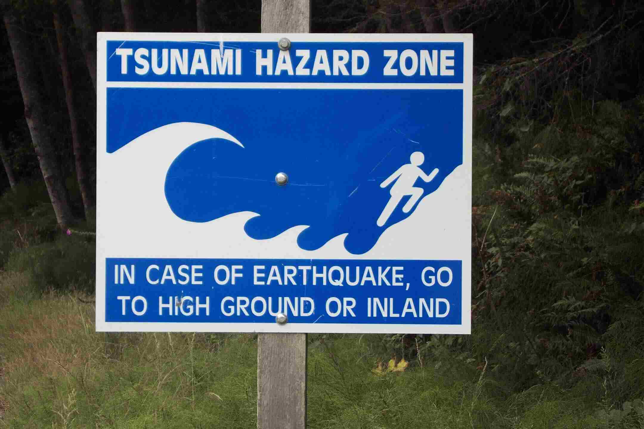 Tsunami hazard