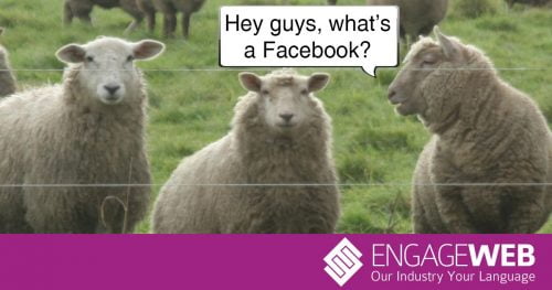 Facebook sheep