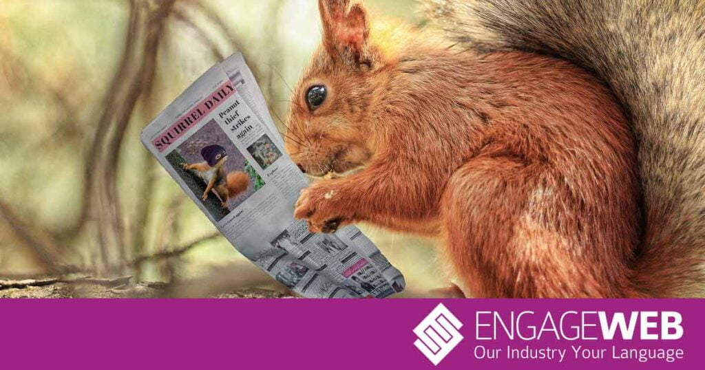 Squirrel reading news