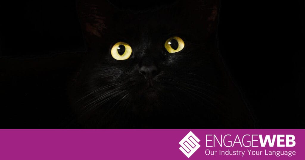 Black cat superstition