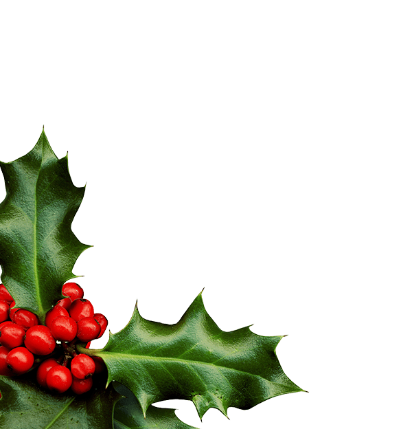 christmas sprig of holly small