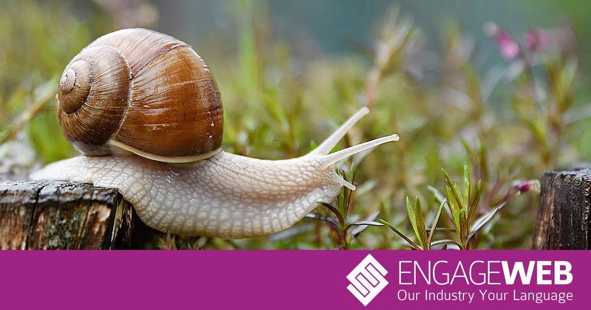 Snail speed 1