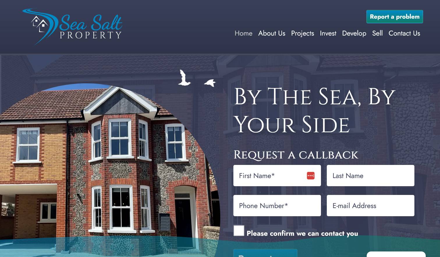 Sea Salt Property screenshot